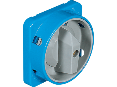 Grey handles padlockable with blue flange in thermoplastic material for distribution board or flush-mounting IP54