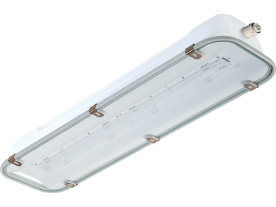 Plafoniera LED acciaio zincato verniciato vetro lunghezza 690 mm IP66